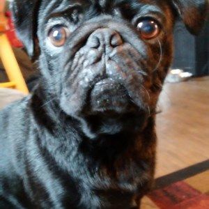 Meet your Posher, Nevaeh